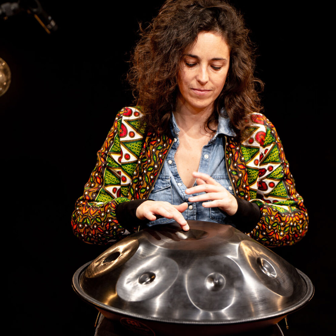Meinl sonic store energy handpan